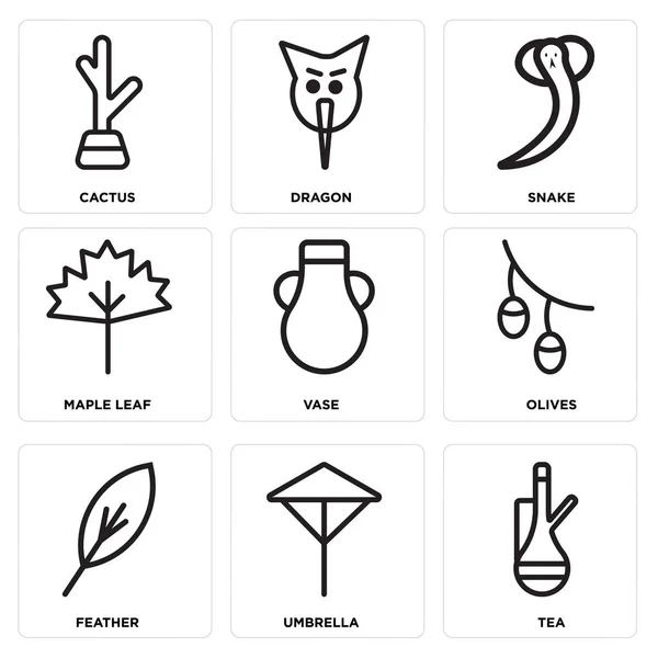 Set mit 9 einfach editierbaren Symbolen wie Tee, Regenschirm, Feder — Stockvektor