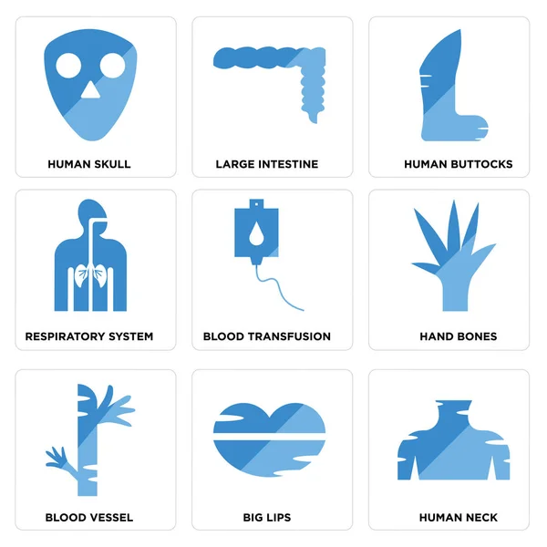 Set Of 9 simple editable icons such as Human Neck, Big Lips, Blood Vessel Stock Vector