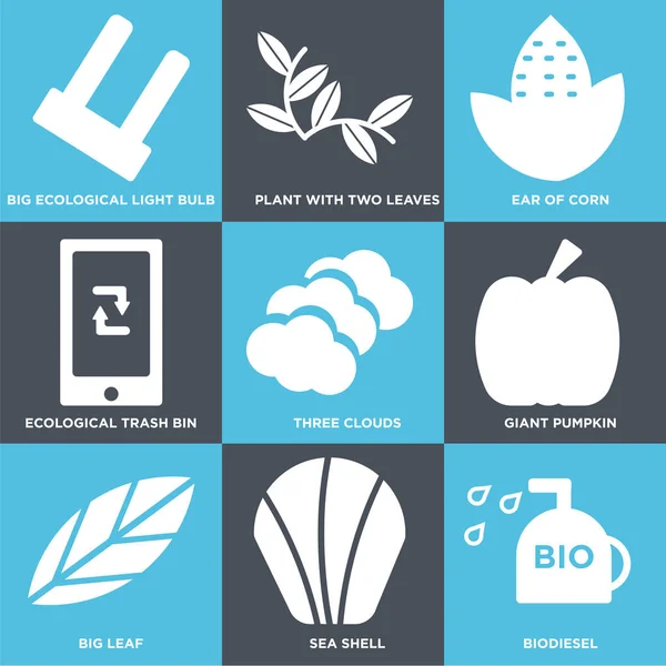 Zestaw 9 prostych ikon edycji takich jak Biodiesel, muszli, duży liść — Wektor stockowy