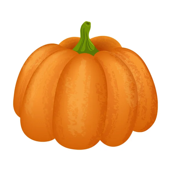 Bright orange pumpkin on a white background. — Stockový vektor