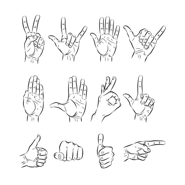 set of hands showing different gestures. vector illustration