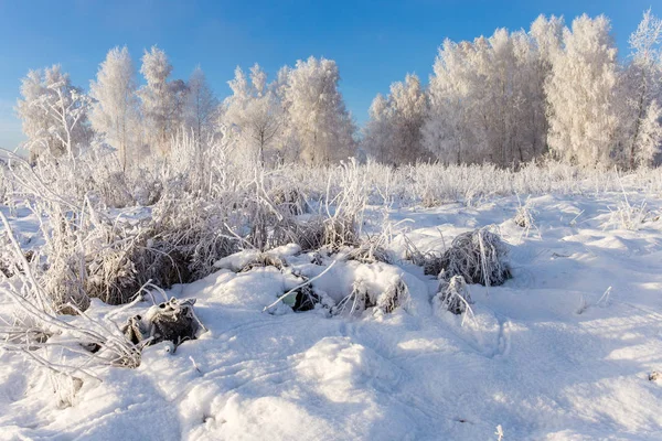 Inverno Sibéria Omsk — Fotografia de Stock