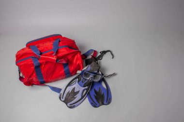 Beyaz arka planda parlak kırmızı çantalı mavi paletler.