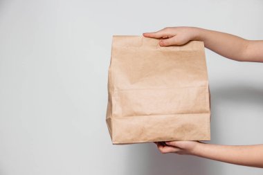 Beyaz arka planda yiyecek ve malların taşınması ya da teslimatı için kahverengi el işi kese kağıdı. Reklam ve fotokopi alanı için yer. servis hizmeti kavramı
