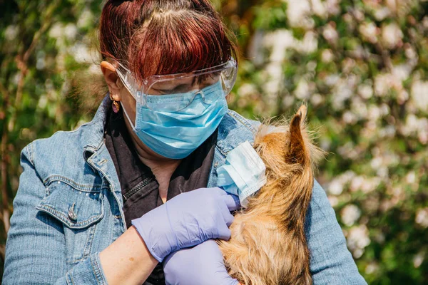 Eine Großmutter Medizinischer Maske Geht Mit Einem Hund Maske Durch lizenzfreie Stockbilder