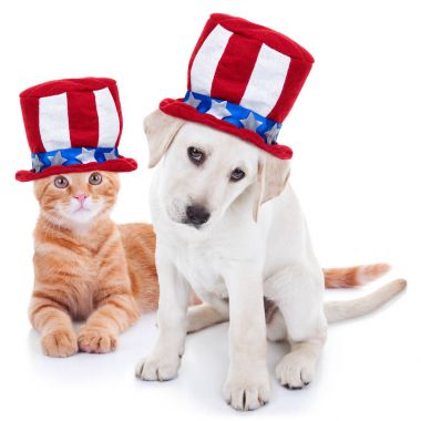 Vatansever Amerikan evde beslenen hayvan köpek ve kedi için 4 Temmuz ve anma günü