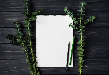 Eskiz defteri ve kalemleri siyah tahta masada yeşil okaliptüs dalları ile dekore edilmiştir. Düz yatıyordu, en iyi görünümü