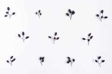 Kızılağaç sonbahar desen beyaz zemin üzerine fındık tohum ağaç. Üstten Görünüm, düz yerde kal, yukarıdan görüntülemek