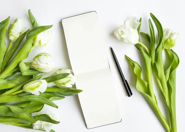 Sketchbook e tulipas brancas sobre fundo branco. Esvaziar caderno aberto com lugar para texto. Vista superior, flat lay — Fotografia de Stock
