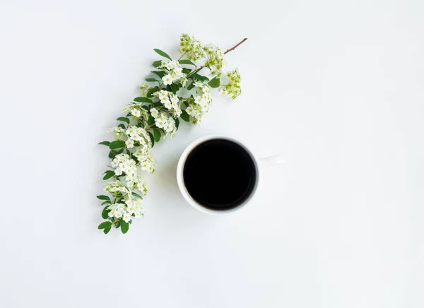 Cup of coffee and flowering Spirea arguta (brides plant) branch on white table. Flat lay, top view — Stock Photo, Image