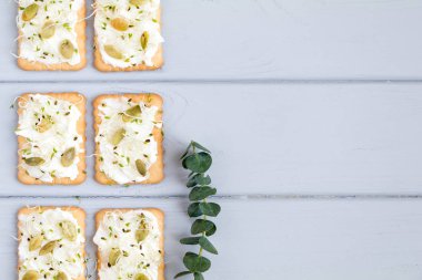 Krem peynir, tohum ve Yeşiller ile lezzetli kraker. Gri masada meze. Sağlıklı aperatifler, üstten görünüm, düz yatıyordu