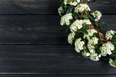Güzel beyaz erkeçsakalı arguta (gelinler bitki) ahşap masa üzerinde bir çelenk içinde çiçeklenme. Düz yatıyordu, en iyi görünümü