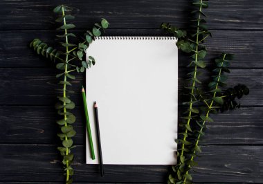 Eskiz defteri ve kalemleri siyah tahta masada yeşil okaliptüs dalları ile dekore edilmiştir. Düz yatıyordu, en iyi görünümü