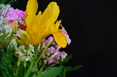 Koyu arkaplanda güzel çiçekler, yaz konsepti, yakın manzara  