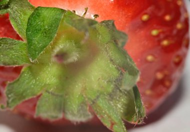 Olgun taze çilek, makro manzara. 