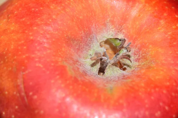 Reifer Frischer Apfel Makrosicht — Stockfoto