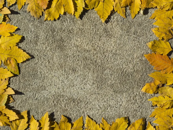 Cadre d'automne avec feuilles jaunes — Photo
