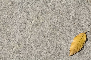 Yaprak ile sonbahar çerçeve