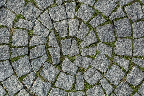 Texture de pavé circulaire — Photo