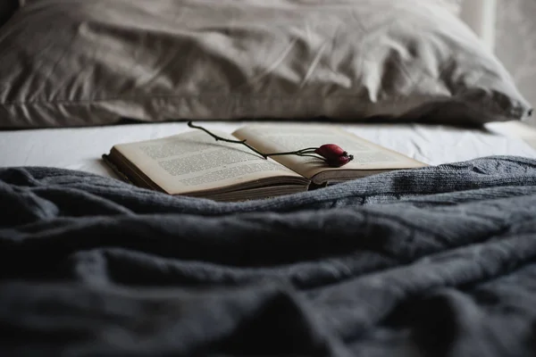 Ανοιχτό Βιβλίο Τριαντάφυλλο Ισχίου Κλαδί Στο Κρεβάτι — Φωτογραφία Αρχείου