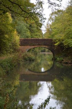 Basibasingstoke kanal Hampshire yakınındaki kuzey Warnborougngstoke Canal Hampshire yakınındaki kuzey Warnboroug