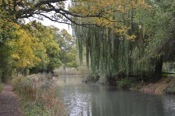 BasiBasingstoke Canal Hampshire vicino a North Warnborougngstoke Canal Hampshire vicino a North Warnboroug — Foto Stock