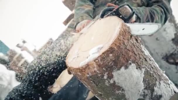 一个用电锯锯一棵松树的男人 — 图库视频影像