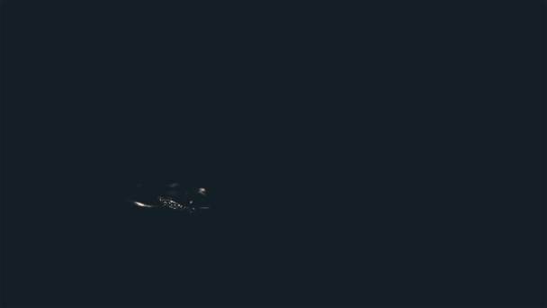 Alyans yakın çekim Beyaz Altın Pırlantalı — Stok video
