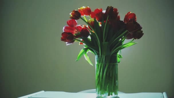 Ett vackert stort knippe tulpaner är vasen — Stockvideo