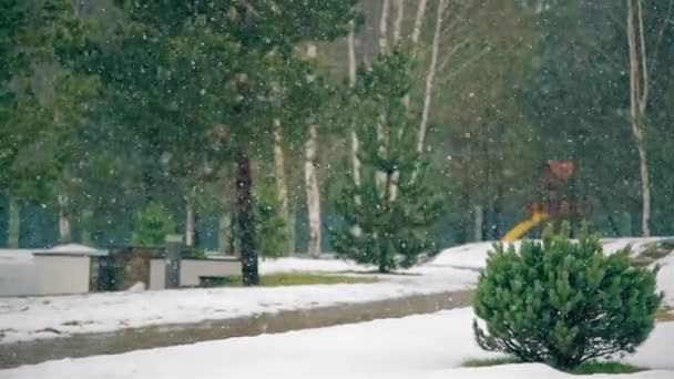 En invierno los grandes copos que caen nieve — Vídeo de stock