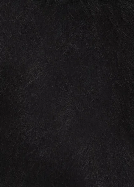 Pilha densa curta preta na pele de um animal silvestre. Textura ou fundo — Fotografia de Stock