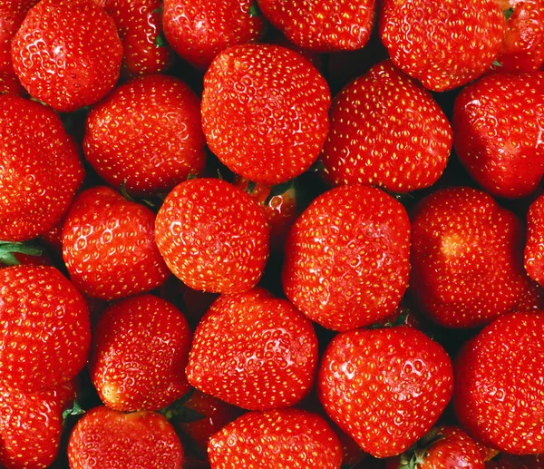 Heldere rode rijpe aardbeien op de hele achtergrond.Textuur of achtergrond — Stockfoto