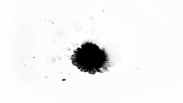 Una gota de tinta negra sobre un fondo blanco se extiende sobre la superficie HD 1920x1080 — Vídeo de stock