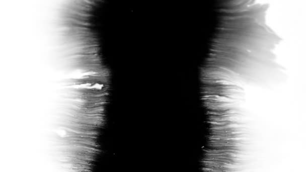 Uma gota preta de tinta espalhada sobre a superfície em um fundo branco HD 1920 — Vídeo de Stock