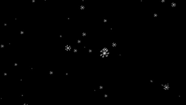 Летающие большие снежинки на черном фоне HD 1920x1080 — стоковое видео