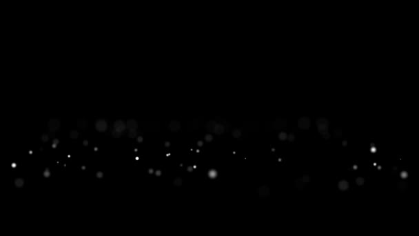 Появление на черном фоне мигающих круглых шаров белого HD — стоковое видео