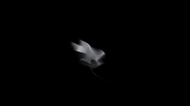 Hd 1920x1080黑色背景上运动累积微粒子的图形 — 图库视频影像