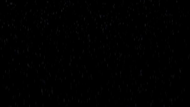 White raindrops falling on black background HD 1920x1080 — Stock Video