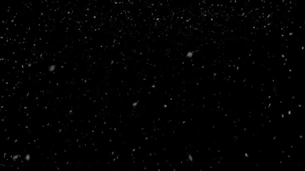 Neige blanche tombant d'en haut sur fond noir HD 1920x1080 — Video