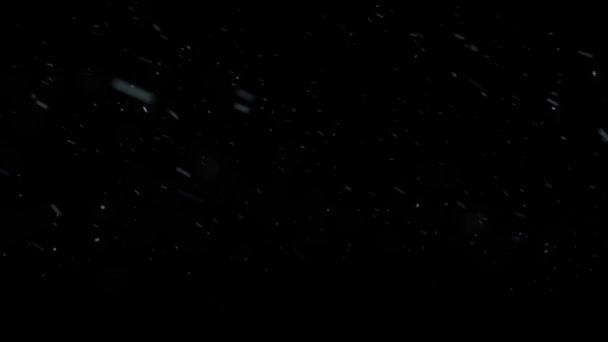 Animación en movimiento de nieve cayendo sobre fondo negro HD 1920x1080 — Vídeo de stock