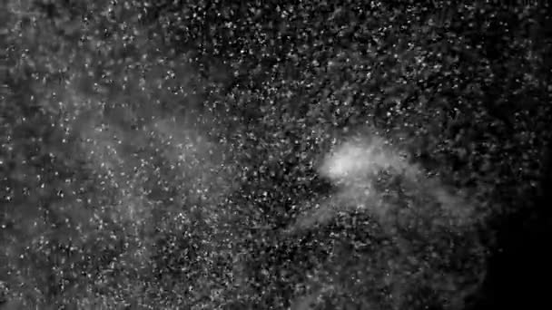 Particle elements in motion in the form of fine dust and rounded bubbles on a black background — Stock Video