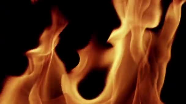 Animação do movimento de um fogo de chama isolado em um fundo preto HD 1920x1080 — Vídeo de Stock