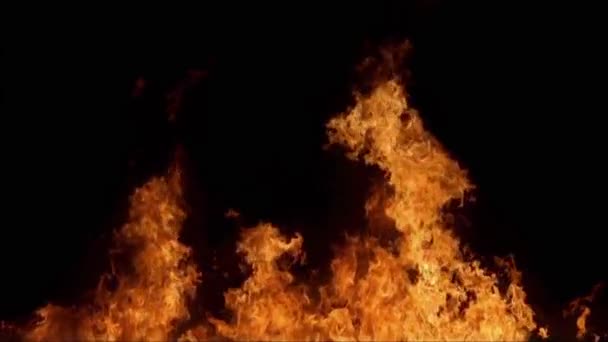 Slow fire movement on a black background HD 1920 — Stockvideo