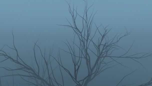 Las ramas negras de un árbol viejo en movimiento en la niebla sobre un fondo gris HD 1920x1080 — Vídeos de Stock