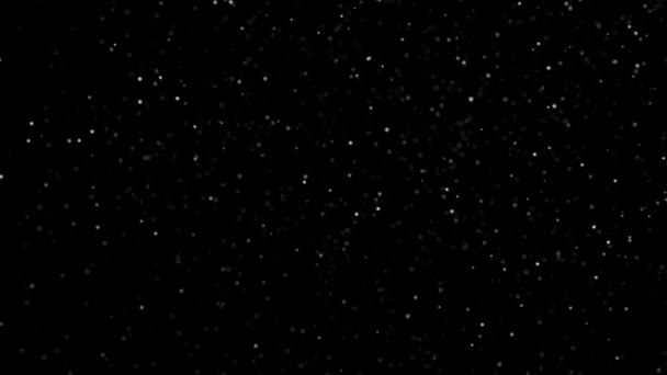 Siyah arkaplan Hd üzerinde yuvarlak mikro parçacıkların uzayda yavaş hareketi — Stok video