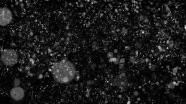 Grandi fiocchi di neve geometrici che cadono su uno sfondo nero HD — Video Stock
