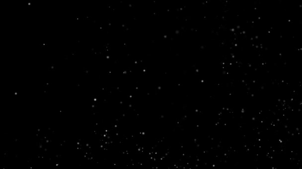 Snabb flygande mikropartiklar med rundad form i vitt på en svart bakgrund — Stockvideo