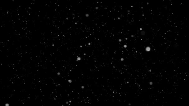 Movimento caótico lento no espaço de micropartículas cinzentas redondas em um fundo preto — Vídeo de Stock