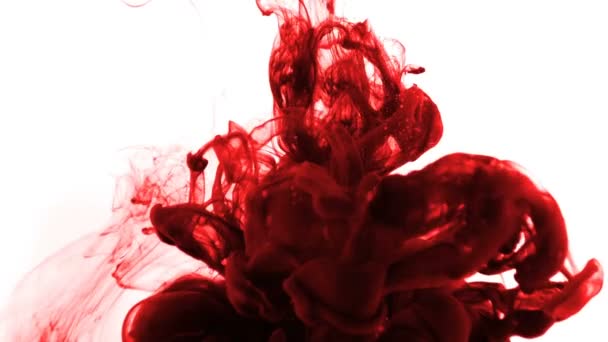 Падение тромба бордовой краски в замедленной съемке — стоковое видео