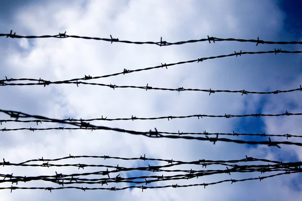 Barbed wire in the sky